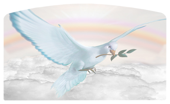 DACRO-116-D-WT Dove Clouds White